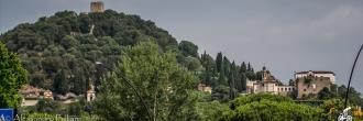 Monselice in Rosa MTB 2021